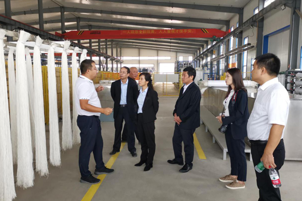 陜西航天建設集團有限公司總經理、黨委副書記謝明娟率隊赴遼寧一諾環保產業集團開展考察調研工作